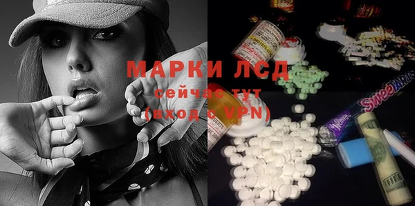 эйфоретик Алзамай