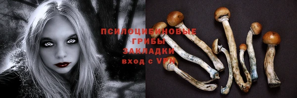 эйфоретик Алзамай