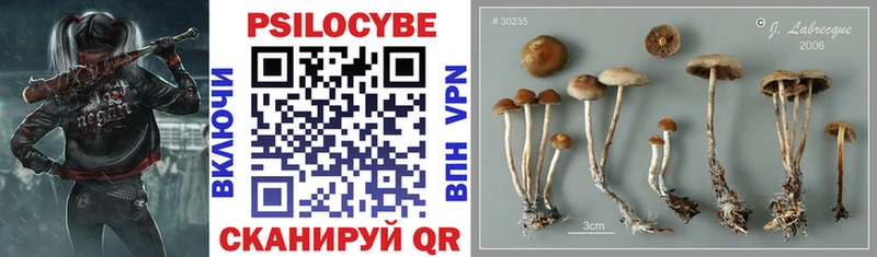 Галлюциногенные грибы Cubensis  наркотики  Брянск 