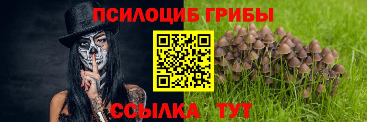 наркошоп  Вход с VPN  Брянск  Псилоцибиновые грибы прущие грибы 